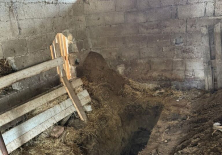 Kjo është gropa, ku ‘u varros’ babai – pasi u v’ra nga fëmijët e tij