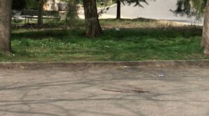 Dy persona në pranga pêr vrasjen e mjekut në Shkup